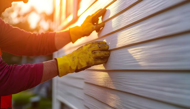 Vinyl Siding Repair - Professional Service 2