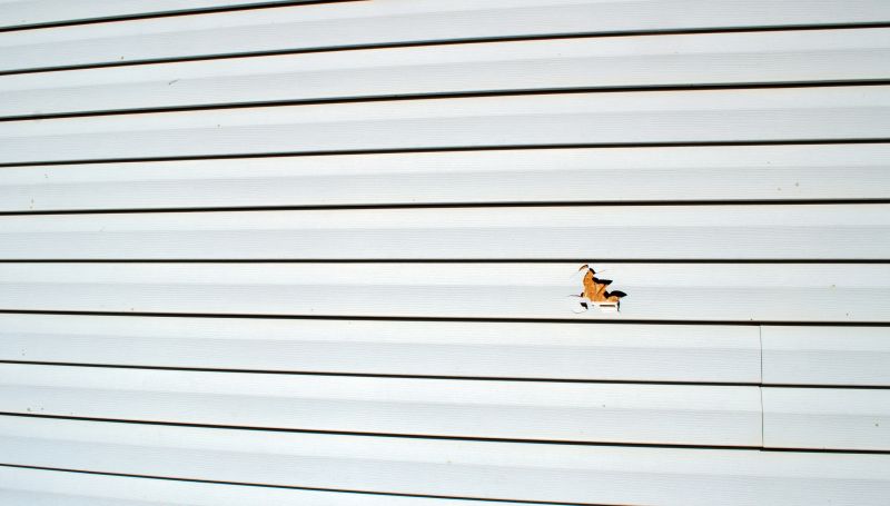 Vinyl Siding Repair Process - Image 3